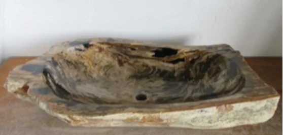 Petrified Wood Trough Sink | One-of-a-Kind Fossilized Stone Vessel